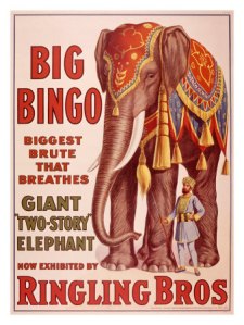 Ringling Bros. and Barnum & Bailey Circus