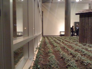 The Fussy Eye: Cruel Harvest