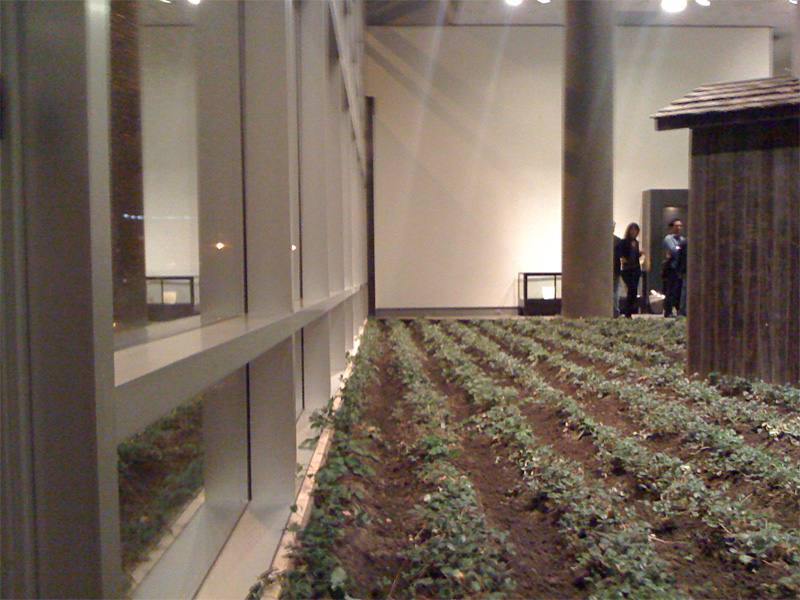 The Fussy Eye: Cruel Harvest