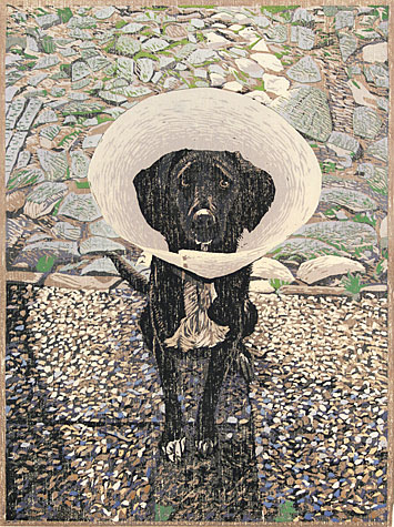 Sieman Dijkstra & Gordon Mortensen