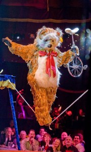 Now thats entertainment.