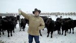 Troy Hadricks Yellow Tail Is Now Yellow Fail video went viral and prompted the Australian wine giant to rescind money pledged to the Humane Society of the United States.