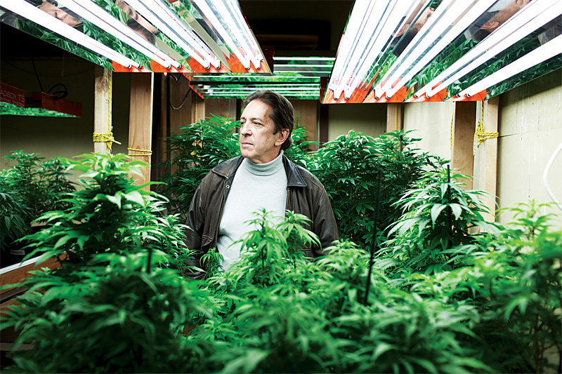 Way past the limit: Sarich in his grow shed.