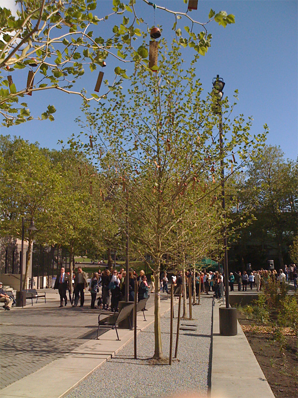 The Fussy Eye: Tinkle Bells