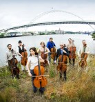 Cellos in their natural habitat.