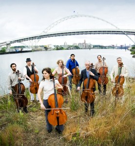 Cellos in their natural habitat.