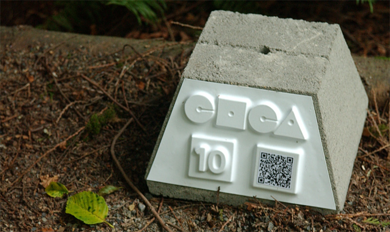 The Fussy Eye: Lost in the Woods