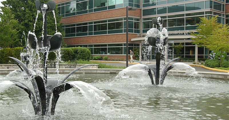 The Fussy Eye: Scattered Petals