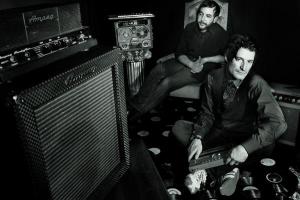 The Animals at Night