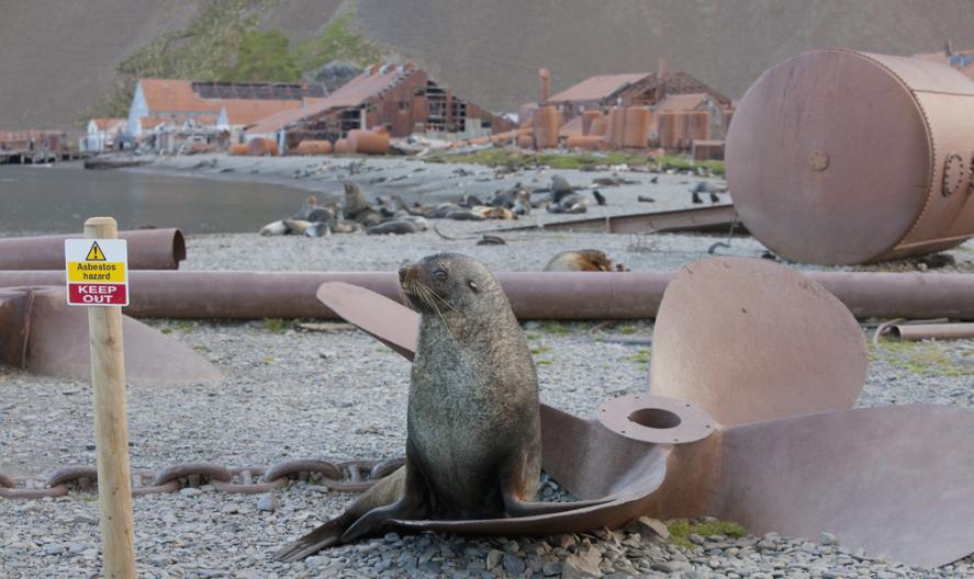 International Conservation Photography Awards