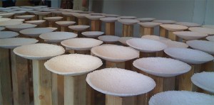 The Fussy Eye: Na x 100