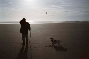 Trefeurig is slowly emptying out.