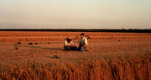 Hey, where did our bees go?