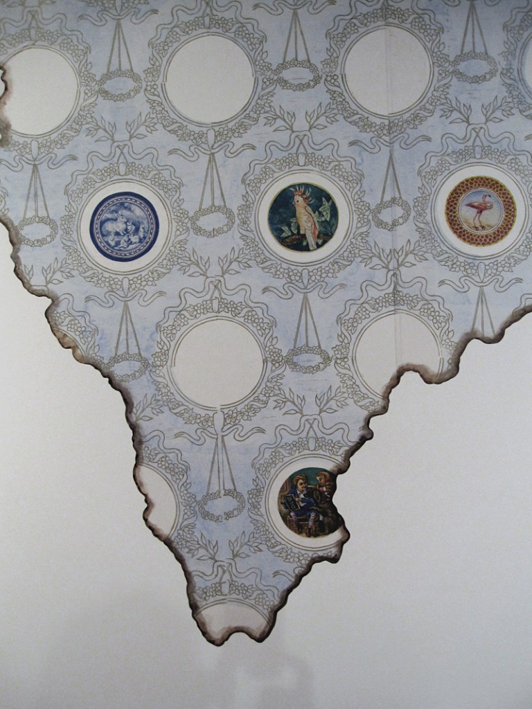 The Fussy Eye: The Origin of Species