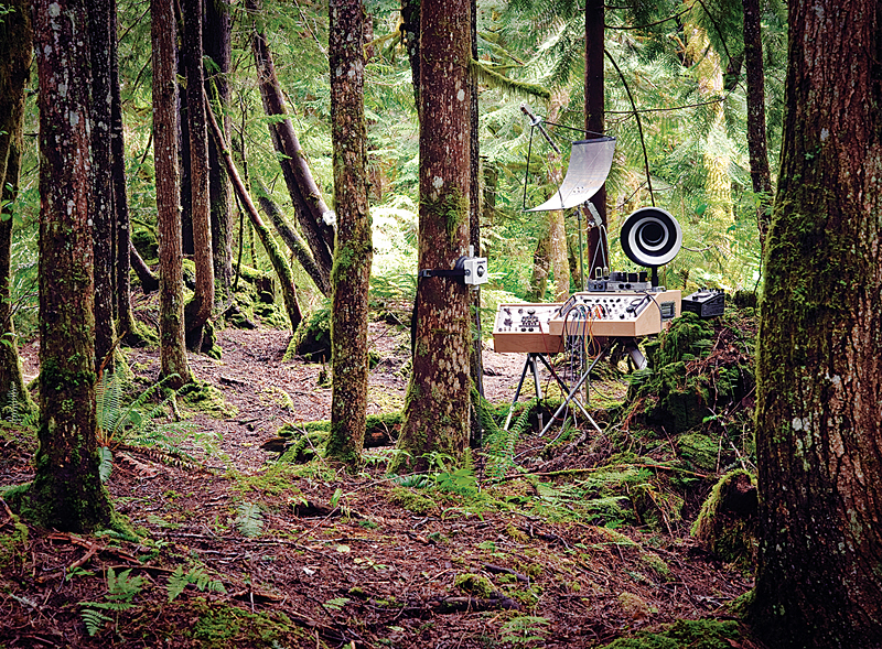 The fanciful device.