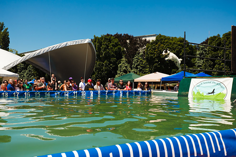 It's not just eating at the Bite, but leaping, too.