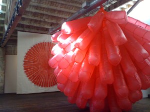 The Fussy Eye: Floral Respiration