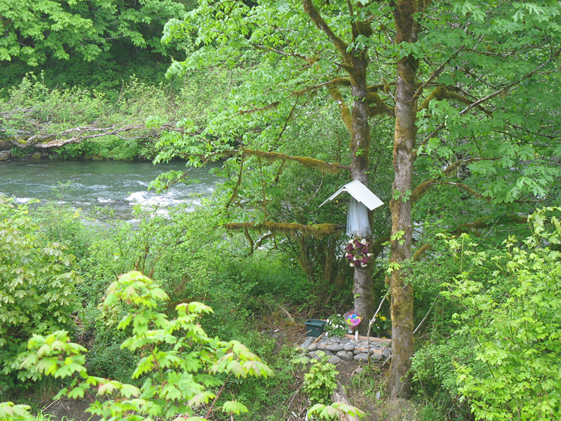 The spot where Salinas ran off the road and toward the Sol Duc River, and a shrine in his honor.