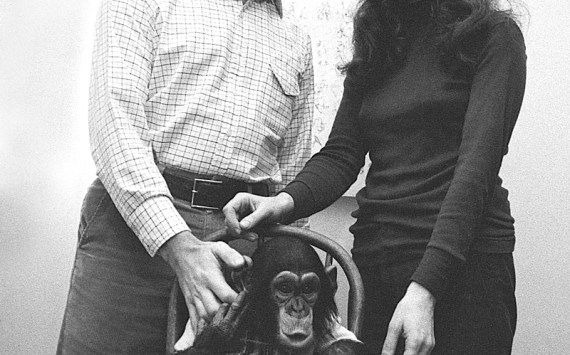 Professor Terrace with two of his conquests: Nim and grad student Stephanie Lafarge.