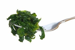 Who Will Save Your Soul Food?