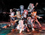 You cannot resist Andrew Lloyd Webber's Cats.