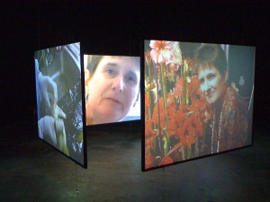 The Fussy Eye: Four Seasons in One Room