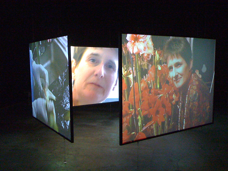 The Fussy Eye: Four Seasons in One Room