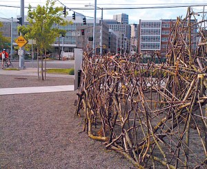 The Fussy Eye: Twigs in Search of a Nest