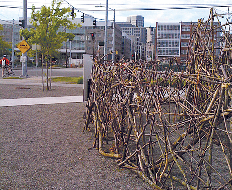 The Fussy Eye: Twigs in Search of a Nest