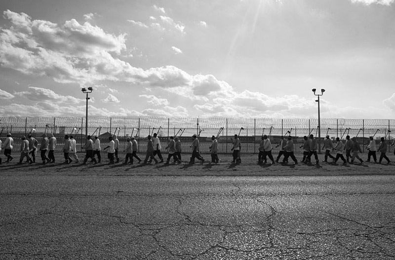 Angola prisoners head out to the fields.