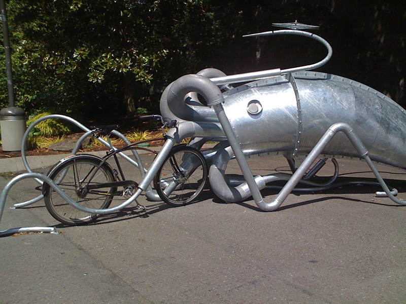 The Fussy Eye: Squid Security