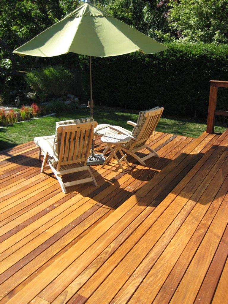 Ruth Vega's yard: before . . .