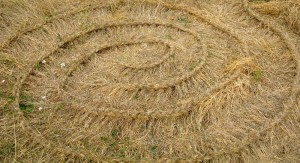 The Fussy Eye: Braids of Grass