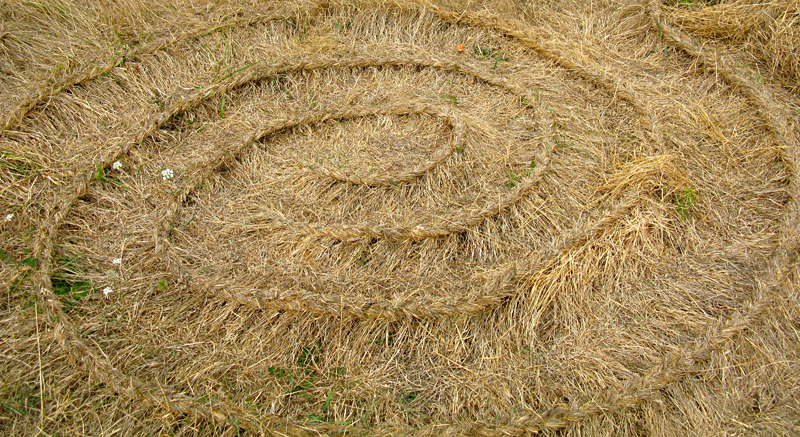The Fussy Eye: Braids of Grass