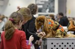 The Seattle Kennel Club, Inc. Dog Show celebrated its 75th year this