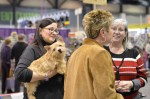 The Seattle Kennel Club, Inc. Dog Show celebrated its 75th year this