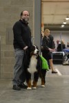 The Seattle Kennel Club, Inc. Dog Show celebrated its 75th year this
