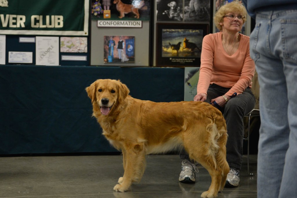 The Seattle Kennel Club, Inc. Dog Show celebrated its 75th year this