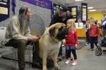 The Seattle Kennel Club, Inc. Dog Show celebrated its 75th year this