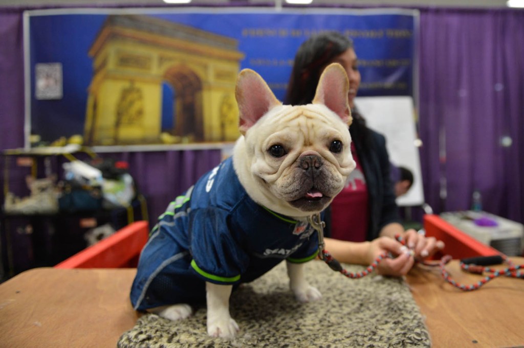 The Seattle Kennel Club, Inc. Dog Show celebrated its 75th year this
