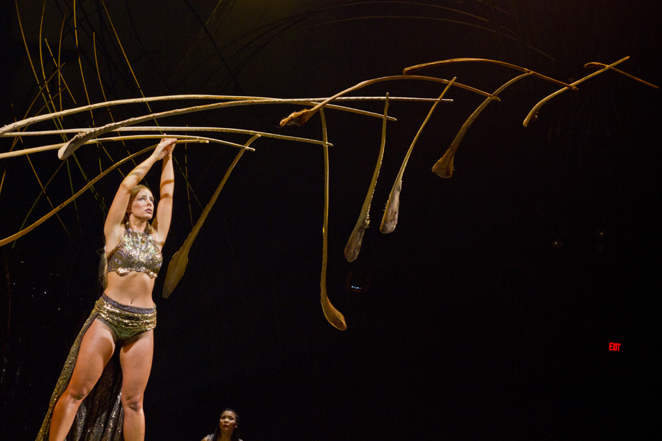 The new Cirque du Soleil show opens in Seattle tonight, Jan. 31,