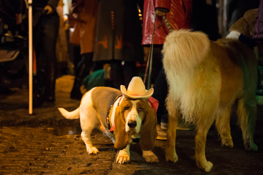 What's the point of having a dog if you can't dress it