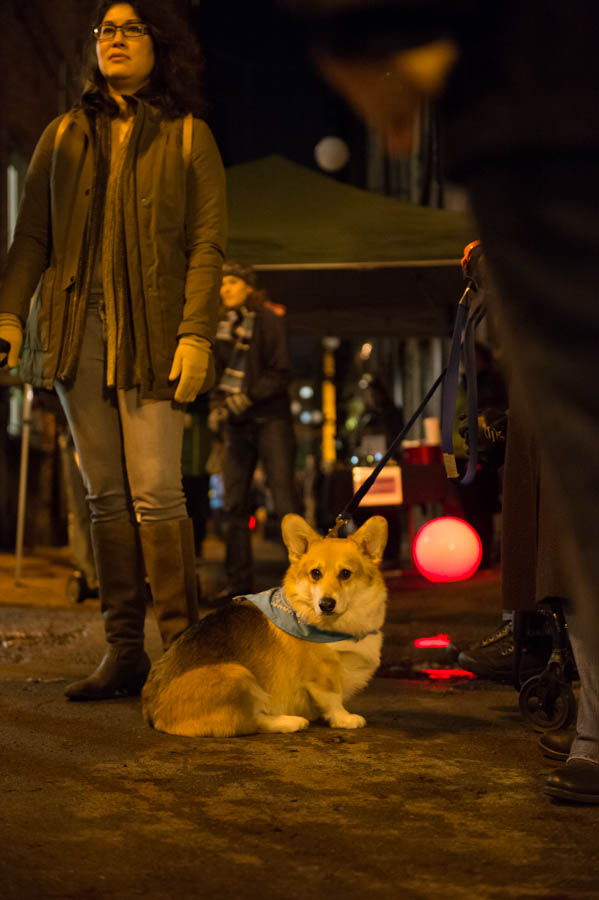 What's the point of having a dog if you can't dress it