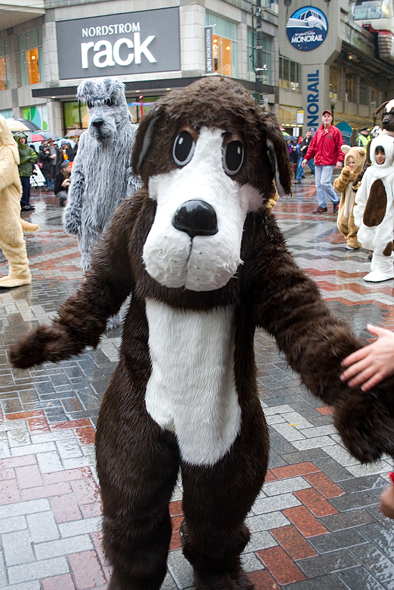 Holiday season officially kicked off in Seattle Friday with the Macy's Holiday