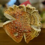 30 Strange Fungi From The Wild Mushroom Show