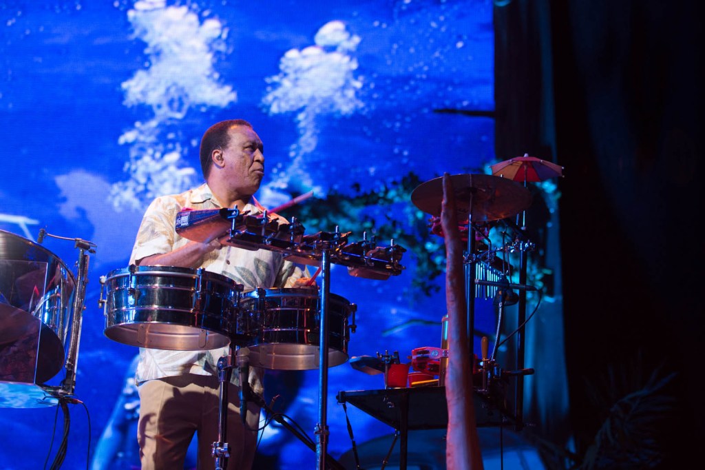 The cold and the rain be damned, Jimmy Buffett fans were thinking