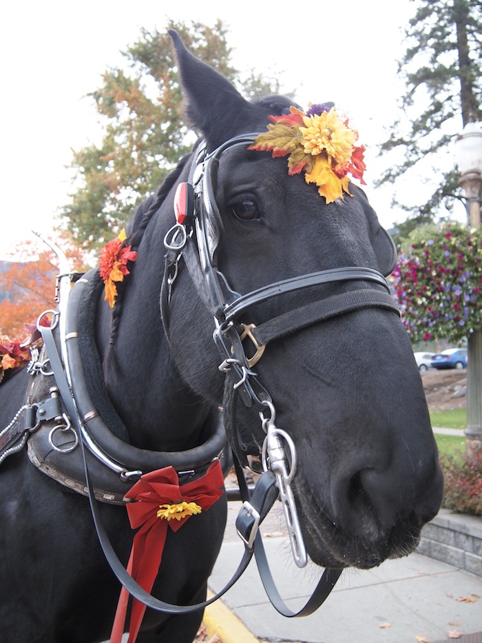 The world-famous oktoberfest returned to Washington's Bavarian oasis last weekend, where many