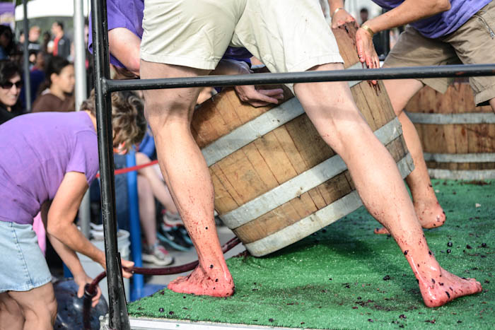 Since 1988, Festa Italiana has been celebrating the cultural roots of Italians