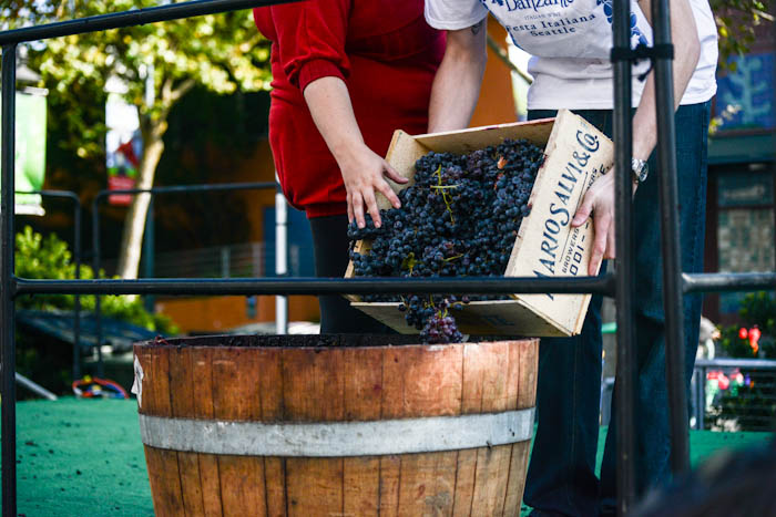 Since 1988, Festa Italiana has been celebrating the cultural roots of Italians