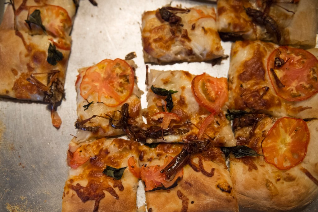 Zoohobas (mealworm) and Patanga (locust) PizzasA
